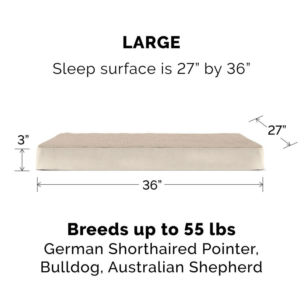 TRRYSUDEDLX-COLNGGLTP-PTBD-ESPRESO-LG