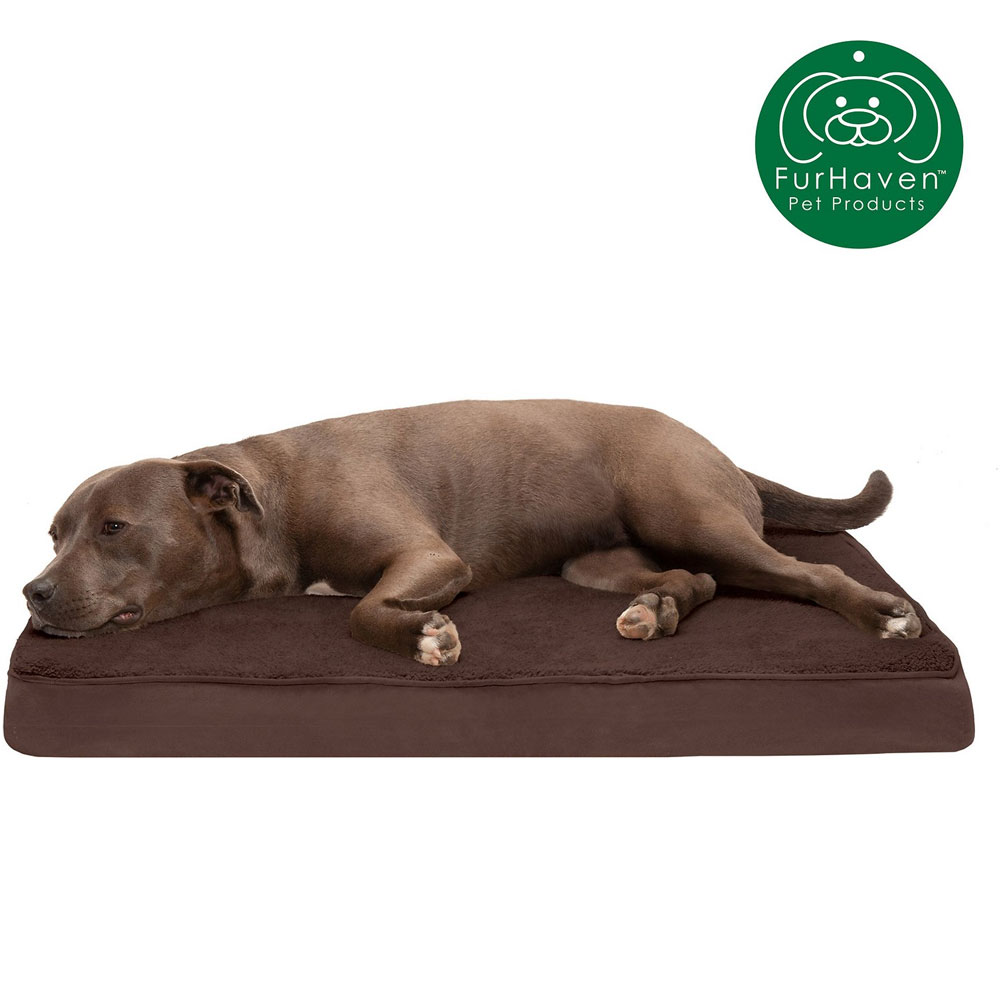 TRRYSUDEDLX-COLNGGLTP-PTBD-ESPRESO-LG