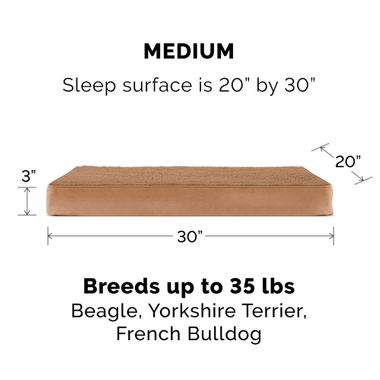 TRRYSUDEDLX-COLNGGLTP-PTBD-ESPRESO-MD