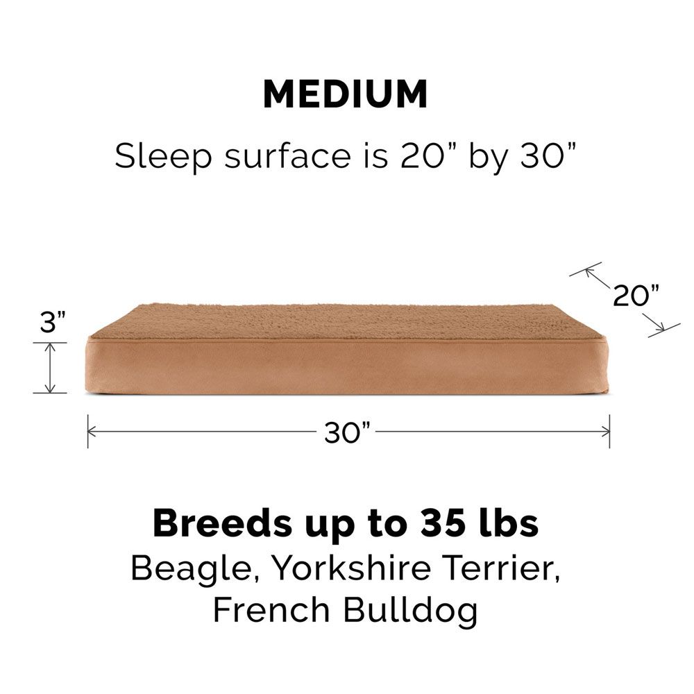 TRRYSUDEDLX-COLNGGLTP-PTBD-ESPRESO-MD