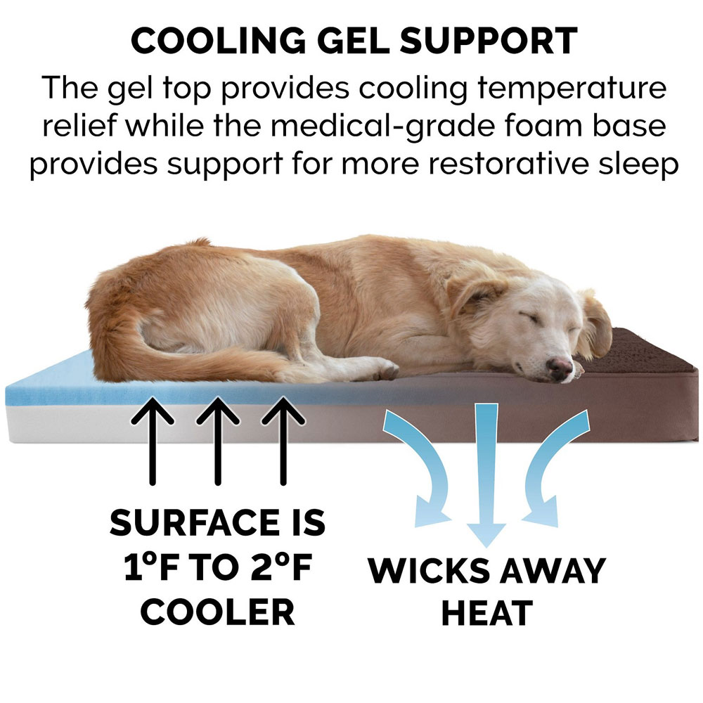 TRRYSUDEDLX-COLNGGLTP-PTBD-ESPRESO-MD
