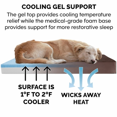 TRRYSUDEDLX-COLNGGLTP-PTBD-ESPRESO-SM