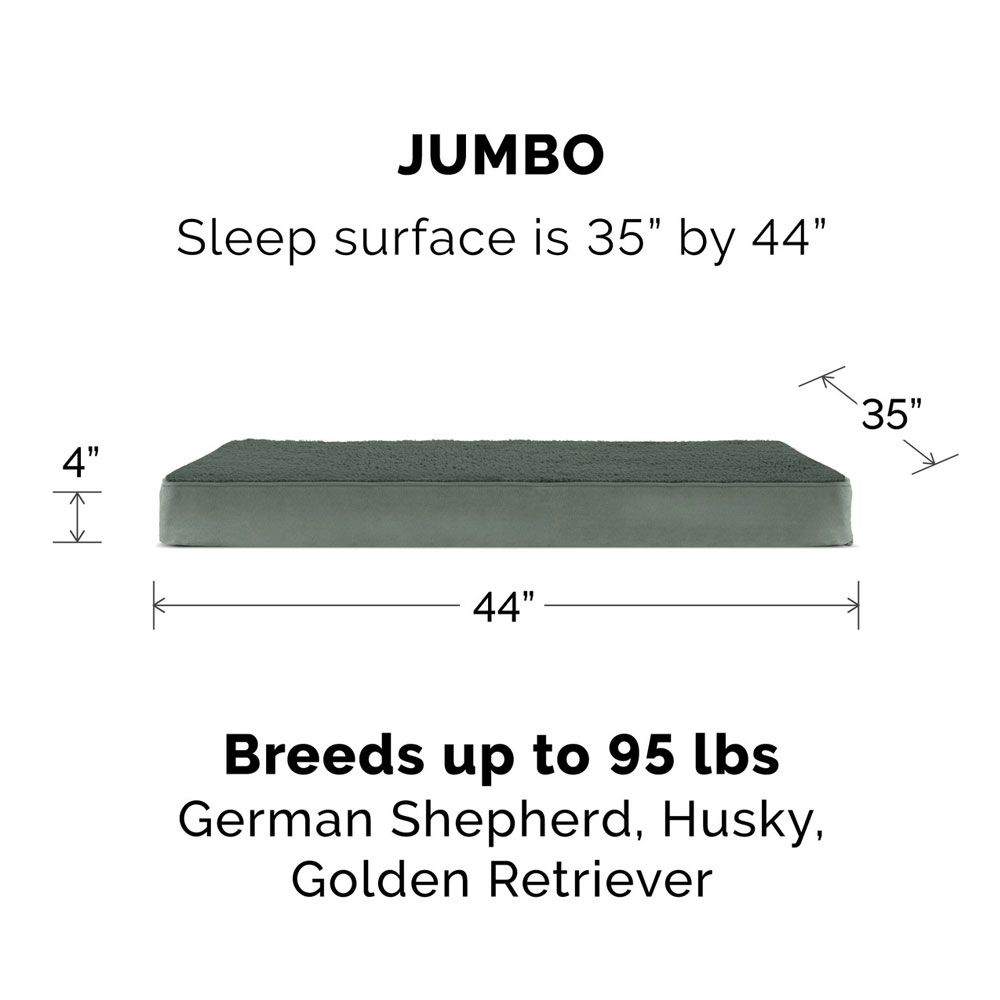 TRRYSUDEDLX-COLNGGLTP-PTBD-GRY-JMB