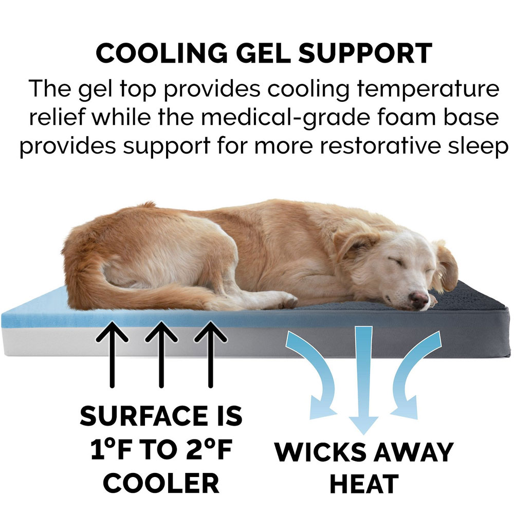 TRRYSUDEDLX-COLNGGLTP-PTBD-GRY-JMB