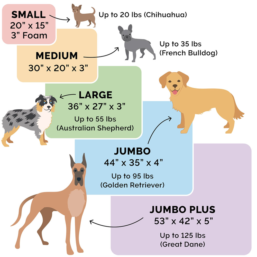 TRRYSUDEDLX-COLNGGLTP-PTBD-GRY-JMB