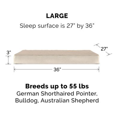 TRRYSUDEDLX-MMRYFOM-PTBD-GRY-LG