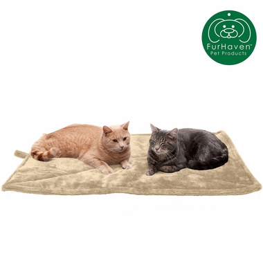 THERMNP-FUXFUR-SLFWRMNG-PTBD-MTCREM-SM