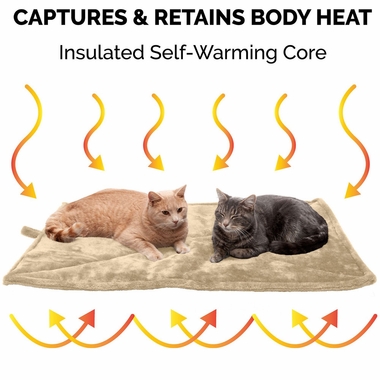 THERMNP-FUXFUR-SLFWRMNG-PTBD-MTCREM-SM