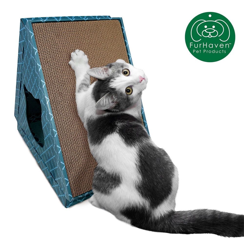 TIGRTNT-CORUGTD-SCRTCHRHOUSE-CTNIPSEAGLSS