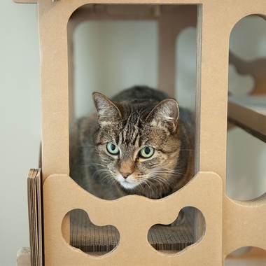 TWERPLYGRUND-CORUGTD-SCRTCHRHOUSE-CTNIP