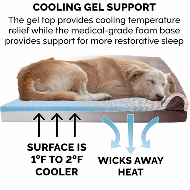 TWTNE-FUXFR-SUEDE-COLINGGEL-TPSFA-PTBD-ESPRESO-JMB