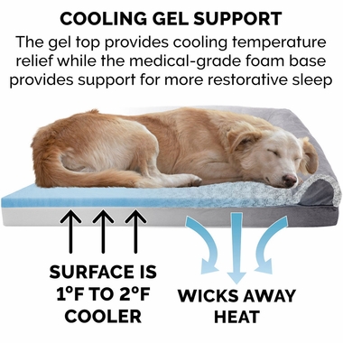 TWTNE-FUXFR-SUEDE-COLINGGEL-TPSFA-PTBD-STNEGRY-MD