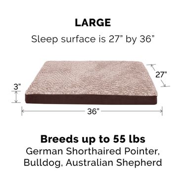 TWTNEFUXFR-SUDEDLX-COLNGGLTP-PTBD-ESPRESO-LG