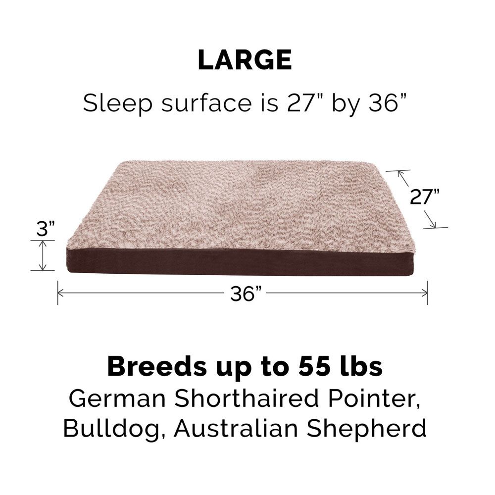 TWTNEFUXFR-SUDEDLX-COLNGGLTP-PTBD-ESPRESO-LG