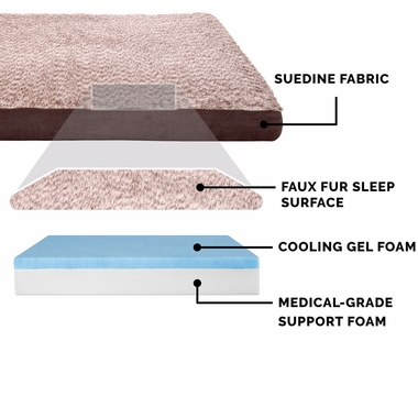 TWTNEFUXFR-SUDEDLX-COLNGGLTP-PTBD-ESPRESO-LG