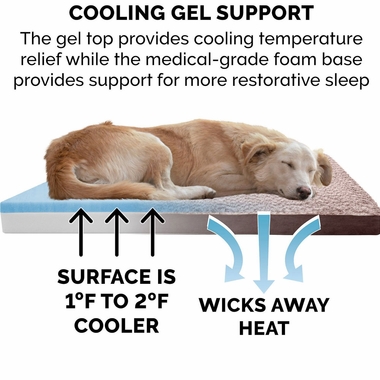 TWTNEFUXFR-SUDEDLX-COLNGGLTP-PTBD-ESPRESO-LG