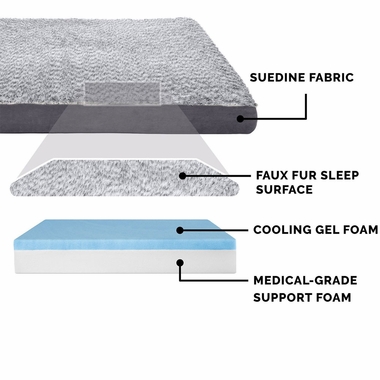 TWTNEFUXFR-SUDEDLX-COLNGGLTP-PTBD-STNEGRY-LG