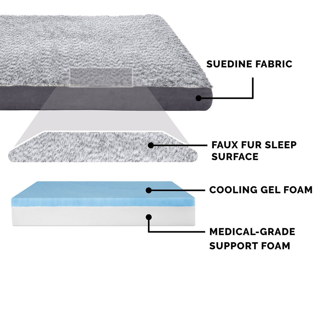 TWTNEFUXFR-SUDEDLX-COLNGGLTP-PTBD-STNEGRY-LG
