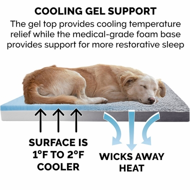 TWTNEFUXFR-SUDEDLX-COLNGGLTP-PTBD-STNEGRY-LG
