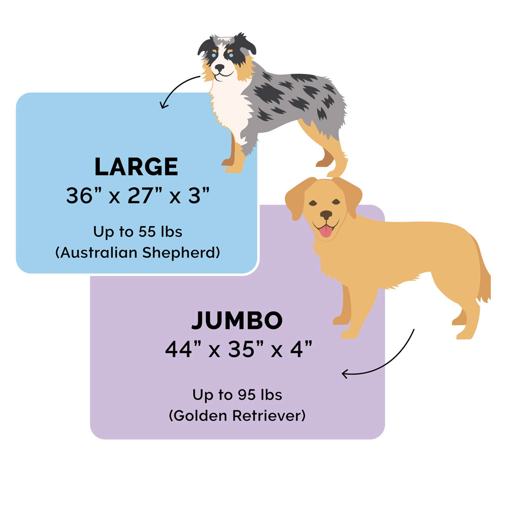 TWTNEFUXFR-SUDEDLX-COLNGGLTP-PTBD-STNEGRY-LG