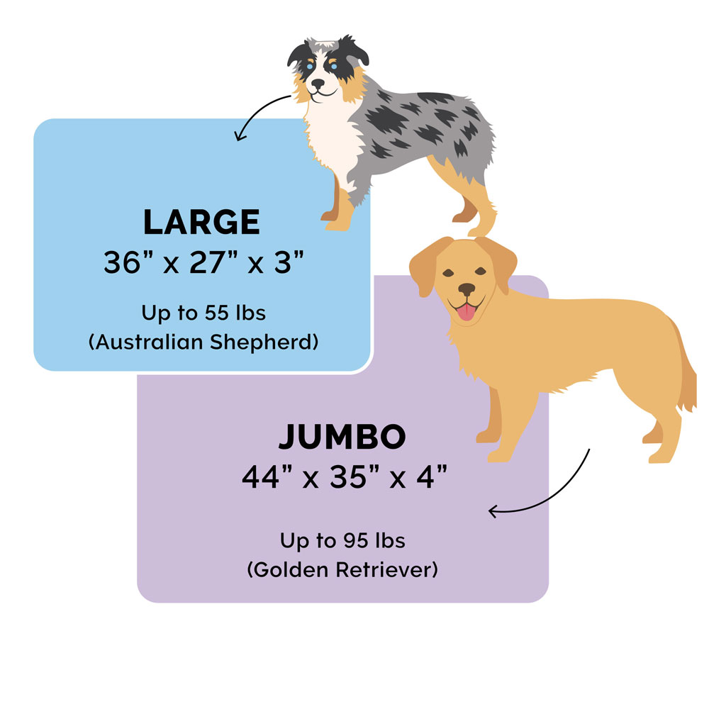 TWTNEFXFUR-SEDEDLX-MMRYFOM-PTBD-ESPRESO-LG