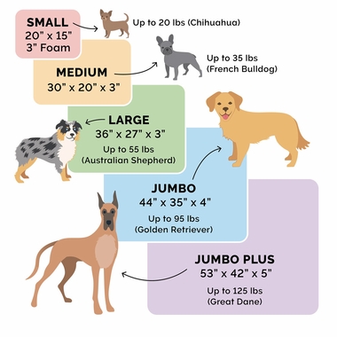 ULTRPLSHDLX-COLNGGLTP-PTBD-CHOCLTE-LG