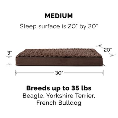 ULTRPLSHDLX-COLNGGLTP-PTBD-CHOCLTE-MD