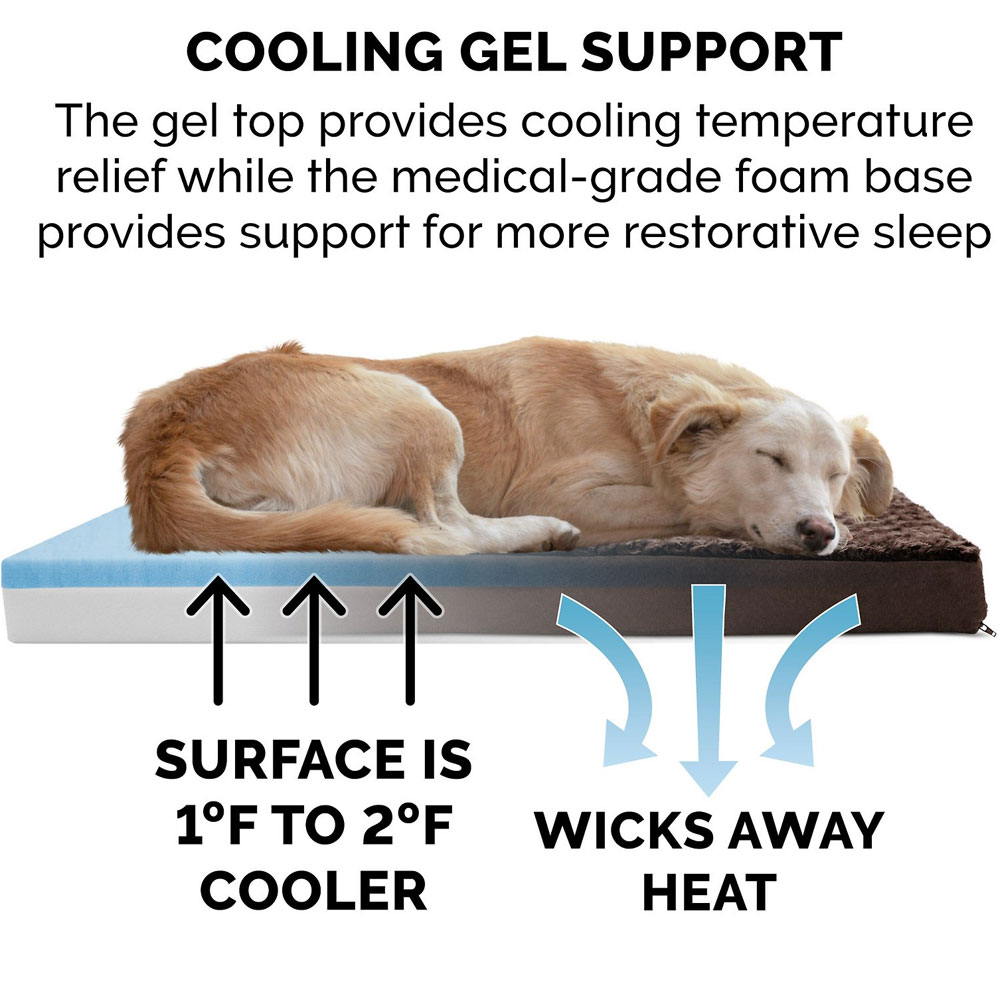 ULTRPLSHDLX-COLNGGLTP-PTBD-CHOCLTE-MD