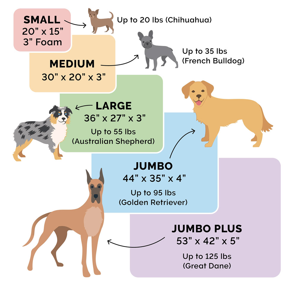 ULTRPLSHDLX-COLNGGLTP-PTBD-CHOCLTE-MD