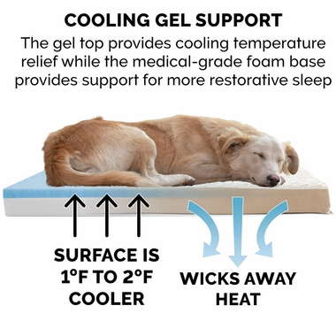 ULTRPLSHDLX-COLNGGLTP-PTBD-CREM-JMB