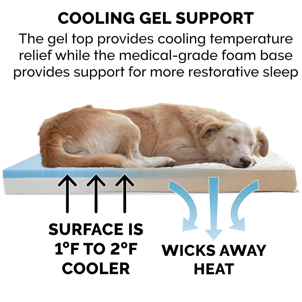 ULTRPLSHDLX-COLNGGLTP-PTBD-CREM-JMB