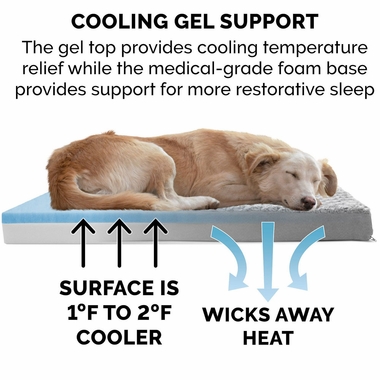 ULTRPLSHDLX-COLNGGLTP-PTBD-GRY-SM