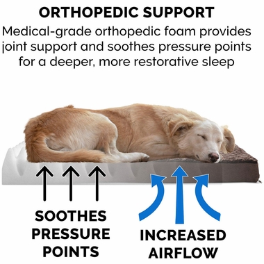 ULTRPLSHDLX-FLLSUPORT-PTBD-CHOCLTE-MD
