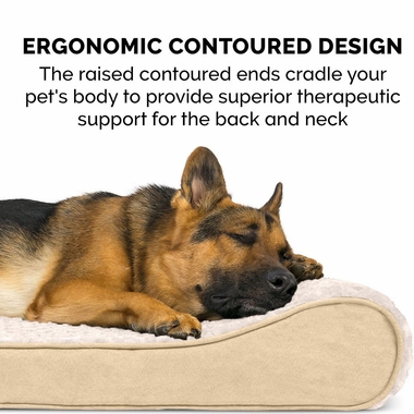 ULTRPLSH-SUDELUX-LUNGER-MMRYTP-PTBD-CREAM-JMBPLS