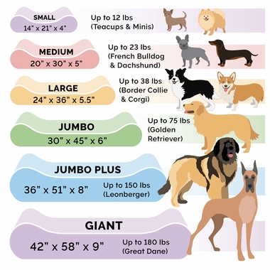 ULTRPLSH-SUDELUX-LUNGER-MMRYTP-PTBD-CREAM-JMBPLS