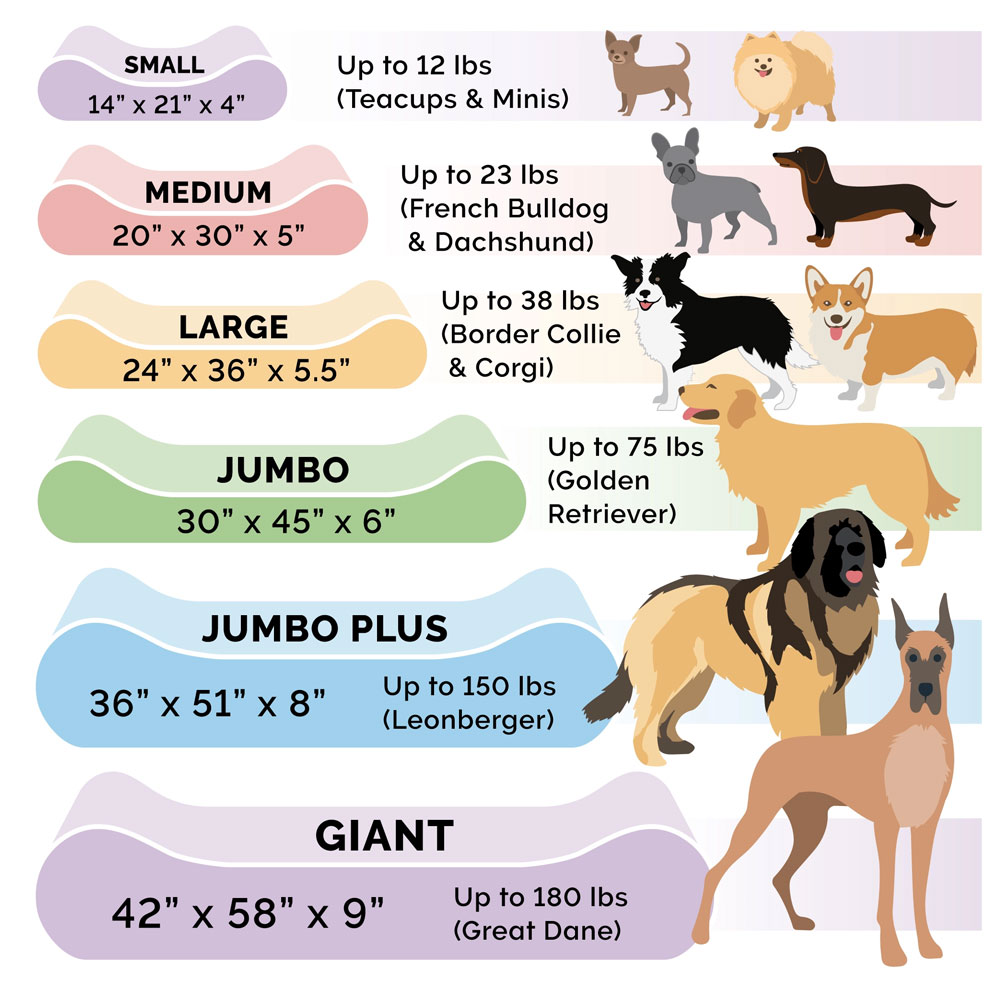 ULTRPLSH-SUDELUX-LUNGER-MMRYTP-PTBD-CREAM-JMBPLS