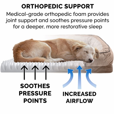 VLVTWVES-PRFCTCMFORT-COLINGGEL-TPSOFABD-BRWNSTNE-SM