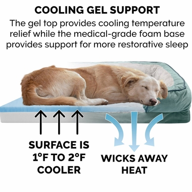 VLVTWAVES-PERFECT-COMFORT-ORTHPDC-SFBD-CELADONGRN-JMB