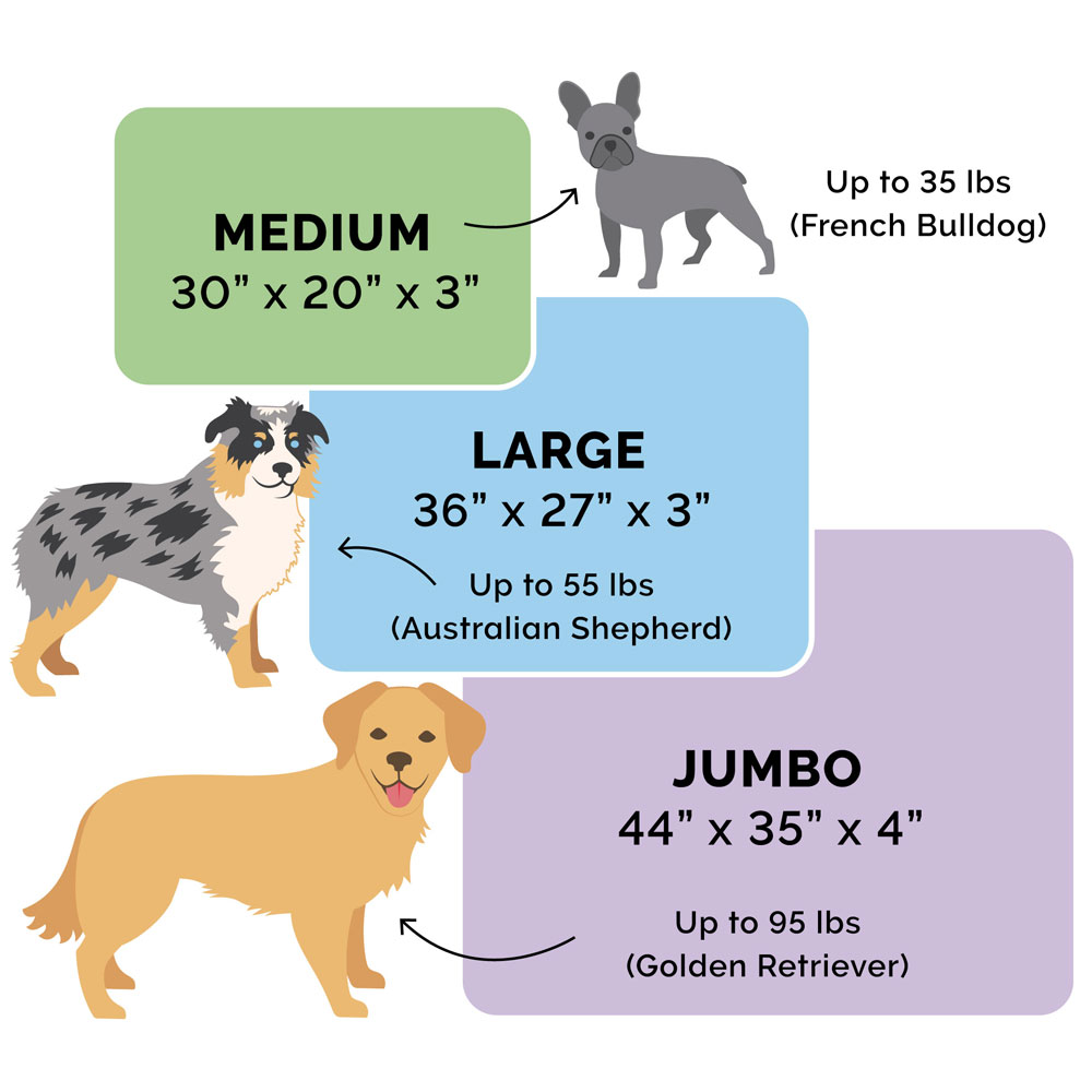 WVEFUR-VLVTDLX-CHASE-LUNGEMMRY-TPSOFA-PTBD-GRNITEGRY-MD