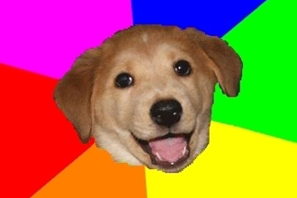 Furry Friends Face-off