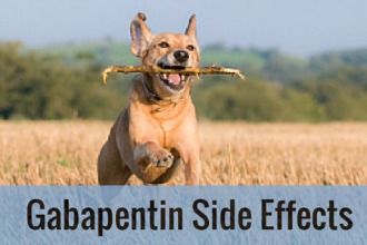 Gabapentin Side Effects