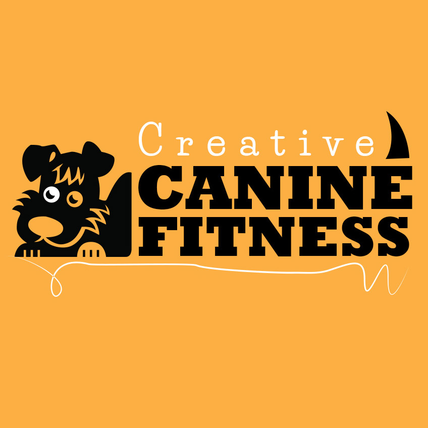 Get Creative With Canine Fitness
