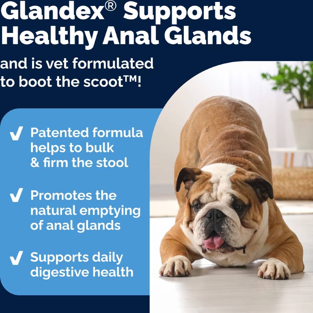 GLANDEX-ADVACD-VET-STREGTH-DUCK-BACON-60-CT