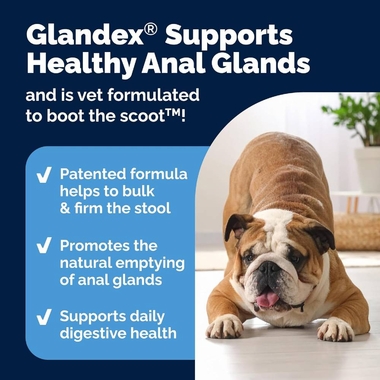 GLANDEX-ANAL-GLAND-SUPPRT-DOGS-PEANTBTTER-30-CHEWS