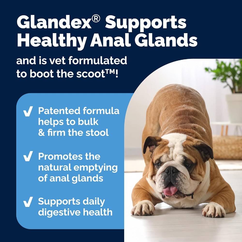 GLANDEX-ANAL-GLAND-SUPPRT-DOGS-PEANTBTTER-30-CHEWS