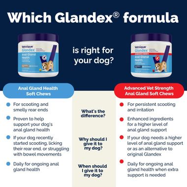 GLANDEX-ANAL-GLAND-SUPPRT-DOGS-PRKLIVR-60-CHEWS
