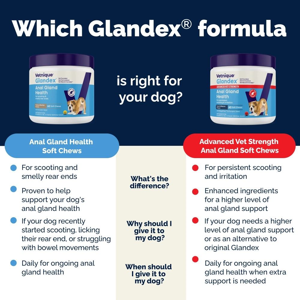 GLANDEX-ANAL-GLAND-SUPPRT-DOGS-PRKLIVR-60-CHEWS