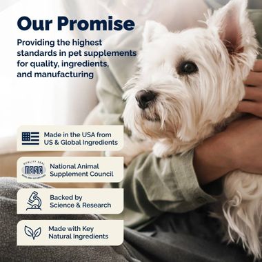 GLANDEX-ANAL-GLAND-SUPPRT-DOGS-PRKLIVR-60-CHEWS