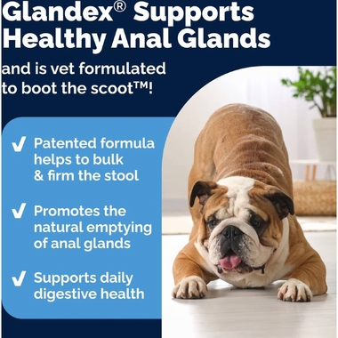 GLANDEX-ANAL-GLAND-SUPPRT-POWDER-DOGS-CATS-BEEF-4OZ