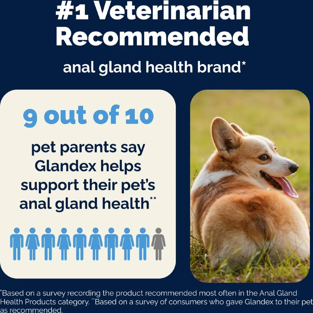 GLANDEX-ANAL-GLAND-SUPPRT-POWDER-DOGS-CATS-BEEF-4OZ